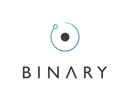 THE BINARY